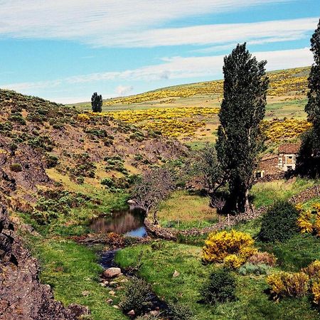 Casa Rural La Vereilla Barajas de Gredos Luaran gambar